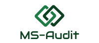 MS-Audit